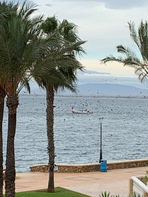 Apartment Jardines Del Mar, 30380 لا مانغا ذيل مار مينور المظهر الخارجي الصورة